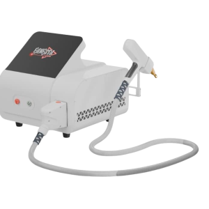 Gangsta Nano Nanosecond ND-YAG Q-Switch Laser